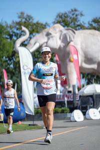 BIB: 
                            <button type="button" onclick="openModal(26544487)" class="btn btn-primary btn-sm float-right btn-popup" data-toggle="modal" data-target=".modal-high-quality">
                        <i class="fas fa-shopping-cart"></i> Add to Cart
                    </button>
                                            <button type="button" onclick="isThisMe(26544487, true)" class="btn btn-success btn-sm float-right btn-popup btn-isme hidden" data-toggle="tooltip" data-placement="bottom" title="นี่คือรูปของคุณใช่ไหม คลิกที่นี่เพื่อเอาเข้าอัลบั้ม">
                        <i class="fas fa-plus"></i> Add to album
                    </button>
                    <button type="button" onclick="isThisMe(26544487, false)" class="btn btn-warning btn-sm float-right btn-popup btn-isnotme hidden">
                        <i class="fas fa-ban"></i> Remove from album
                    </button>